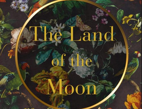 The Land of The Moon